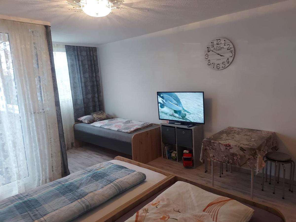 Steinhuebel Uni-Naehe Apartment Homburg  Ngoại thất bức ảnh